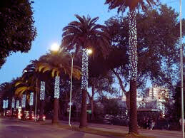 Vida Nocturna y Entretenimiento en Viña del Mar